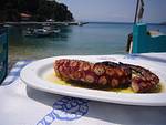 Pavlos Fish Taverna, Skopelos